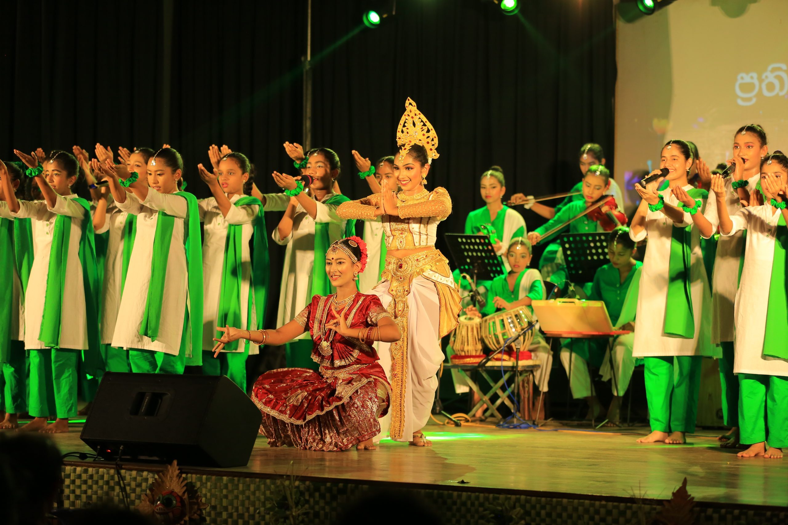 Our Events